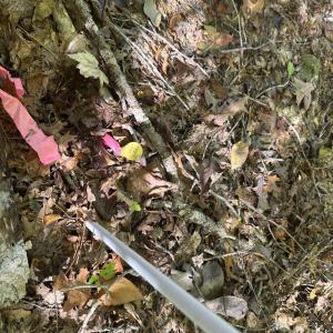 Photo #30 of  Off of Secretarys Sand Rd, Schuyler, VA 6.9 acres