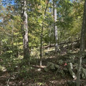 Photo #31 of  Off of Secretarys Sand Rd, Schuyler, VA 6.9 acres