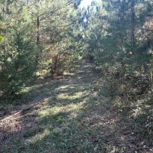 Photo #33 of  Off of Secretarys Sand Rd, Schuyler, VA 6.9 acres