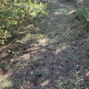 Photo #34 of  Off of Secretarys Sand Rd, Schuyler, VA 6.9 acres