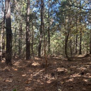 Photo #35 of  Off of Secretarys Sand Rd, Schuyler, VA 6.9 acres