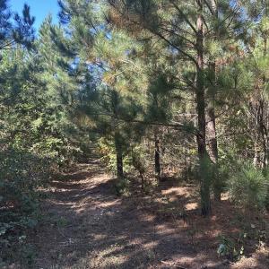 Photo #37 of  Off of Secretarys Sand Rd, Schuyler, VA 6.9 acres