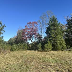 Photo #45 of  Off of Secretarys Sand Rd, Schuyler, VA 6.9 acres
