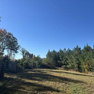 Photo #47 of  Off of Secretarys Sand Rd, Schuyler, VA 6.9 acres