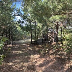 Photo #48 of  Off of Secretarys Sand Rd, Schuyler, VA 6.9 acres