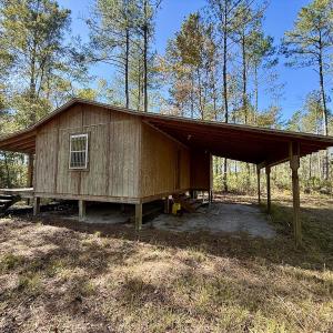 Photo #11 of 8004 White Oak River Road, Maysville, NC 117.3 acres