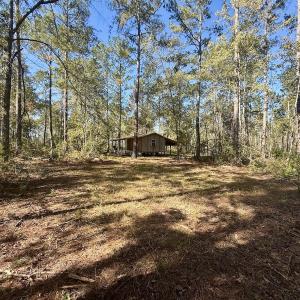 Photo #14 of 8004 White Oak River Road, Maysville, NC 117.3 acres