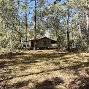 Photo #15 of 8004 White Oak River Road, Maysville, NC 117.3 acres