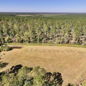 Photo #17 of 8004 White Oak River Road, Maysville, NC 117.3 acres