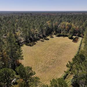 Photo #18 of 8004 White Oak River Road, Maysville, NC 117.3 acres