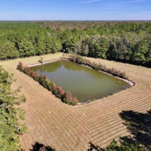 Photo #1 of 8004 White Oak River Road, Maysville, NC 117.3 acres