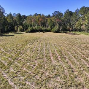 Photo #20 of 8004 White Oak River Road, Maysville, NC 117.3 acres