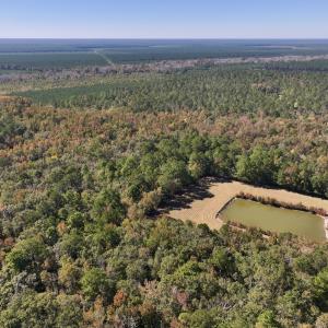 Photo #6 of 8004 White Oak River Road, Maysville, NC 117.3 acres