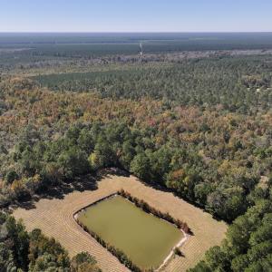 Photo #8 of 8004 White Oak River Road, Maysville, NC 117.3 acres
