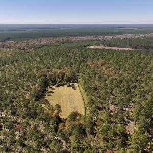 Photo #21 of 8004 White Oak River Road, Maysville, NC 117.3 acres