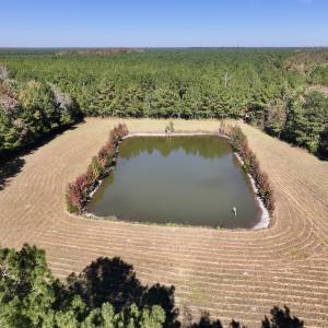 Photo #37 of 8004 White Oak River Road, Maysville, NC 117.3 acres