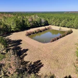 Photo #38 of 8004 White Oak River Road, Maysville, NC 117.3 acres