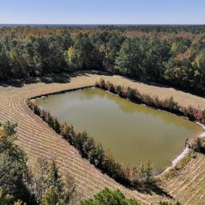 Photo #39 of 8004 White Oak River Road, Maysville, NC 117.3 acres