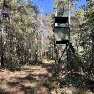 Photo #43 of 8004 White Oak River Road, Maysville, NC 117.3 acres