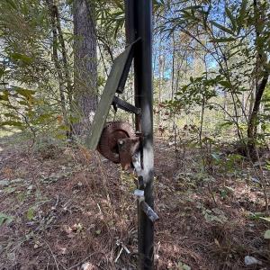 Photo #44 of 8004 White Oak River Road, Maysville, NC 117.3 acres