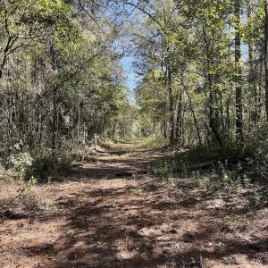 Photo #45 of 8004 White Oak River Road, Maysville, NC 117.3 acres