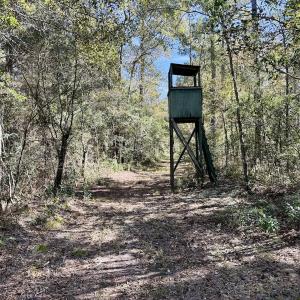 Photo #46 of 8004 White Oak River Road, Maysville, NC 117.3 acres