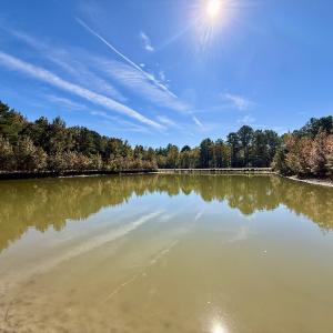 Photo #50 of 8004 White Oak River Road, Maysville, NC 117.3 acres