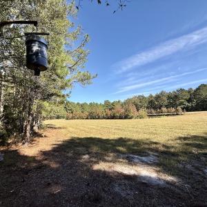 Photo #51 of 8004 White Oak River Road, Maysville, NC 117.3 acres