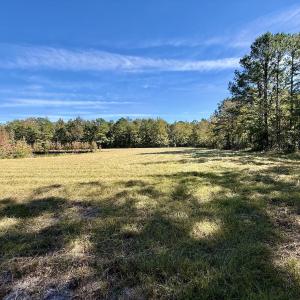 Photo #52 of 8004 White Oak River Road, Maysville, NC 117.3 acres