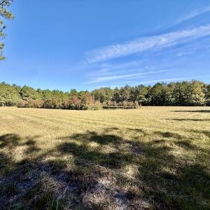 Photo #53 of 8004 White Oak River Road, Maysville, NC 117.3 acres
