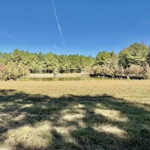 Photo #54 of 8004 White Oak River Road, Maysville, NC 117.3 acres