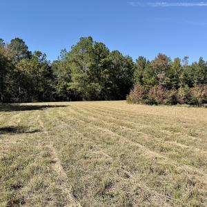 Photo #55 of 8004 White Oak River Road, Maysville, NC 117.3 acres