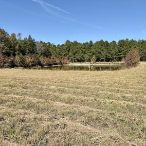 Photo #56 of 8004 White Oak River Road, Maysville, NC 117.3 acres