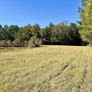 Photo #57 of 8004 White Oak River Road, Maysville, NC 117.3 acres