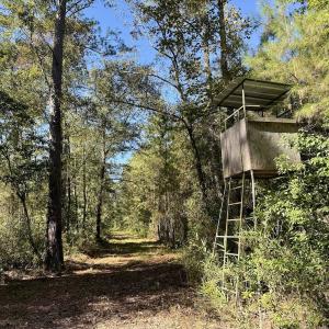 Photo #61 of 8004 White Oak River Road, Maysville, NC 117.3 acres