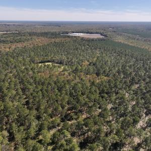 Photo #65 of 8004 White Oak River Road, Maysville, NC 117.3 acres