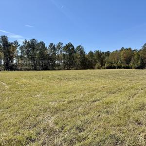Photo #69 of 8004 White Oak River Road, Maysville, NC 117.3 acres