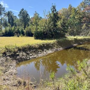 Photo #70 of 8004 White Oak River Road, Maysville, NC 117.3 acres