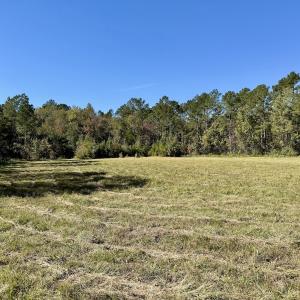 Photo #72 of 8004 White Oak River Road, Maysville, NC 117.3 acres