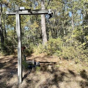 Photo #75 of 8004 White Oak River Road, Maysville, NC 117.3 acres