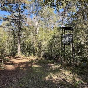 Photo #76 of 8004 White Oak River Road, Maysville, NC 117.3 acres
