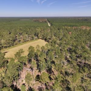 Photo #89 of 8004 White Oak River Road, Maysville, NC 117.3 acres