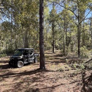 Photo #95 of 8004 White Oak River Road, Maysville, NC 117.3 acres