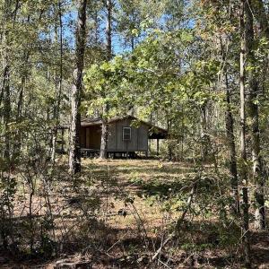 Photo #99 of 8004 White Oak River Road, Maysville, NC 117.3 acres