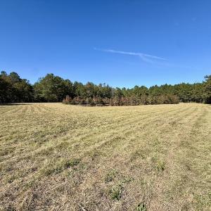 Photo #101 of 8004 White Oak River Road, Maysville, NC 117.3 acres
