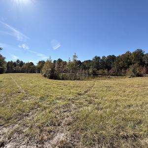 Photo #102 of 8004 White Oak River Road, Maysville, NC 117.3 acres