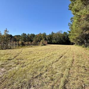 Photo #103 of 8004 White Oak River Road, Maysville, NC 117.3 acres