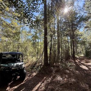 Photo #104 of 8004 White Oak River Road, Maysville, NC 117.3 acres