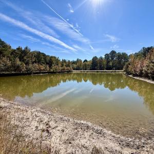 Photo #106 of 8004 White Oak River Road, Maysville, NC 117.3 acres