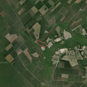 Photo #113 of 8004 White Oak River Road, Maysville, NC 117.3 acres